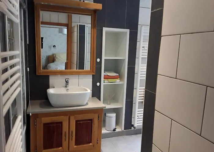 Vakantiehuis D'hotes Au Vieux Moulin Entre Sarreguemine Et Bitche